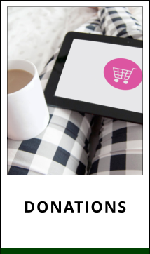 (image for) Donate to our Mission